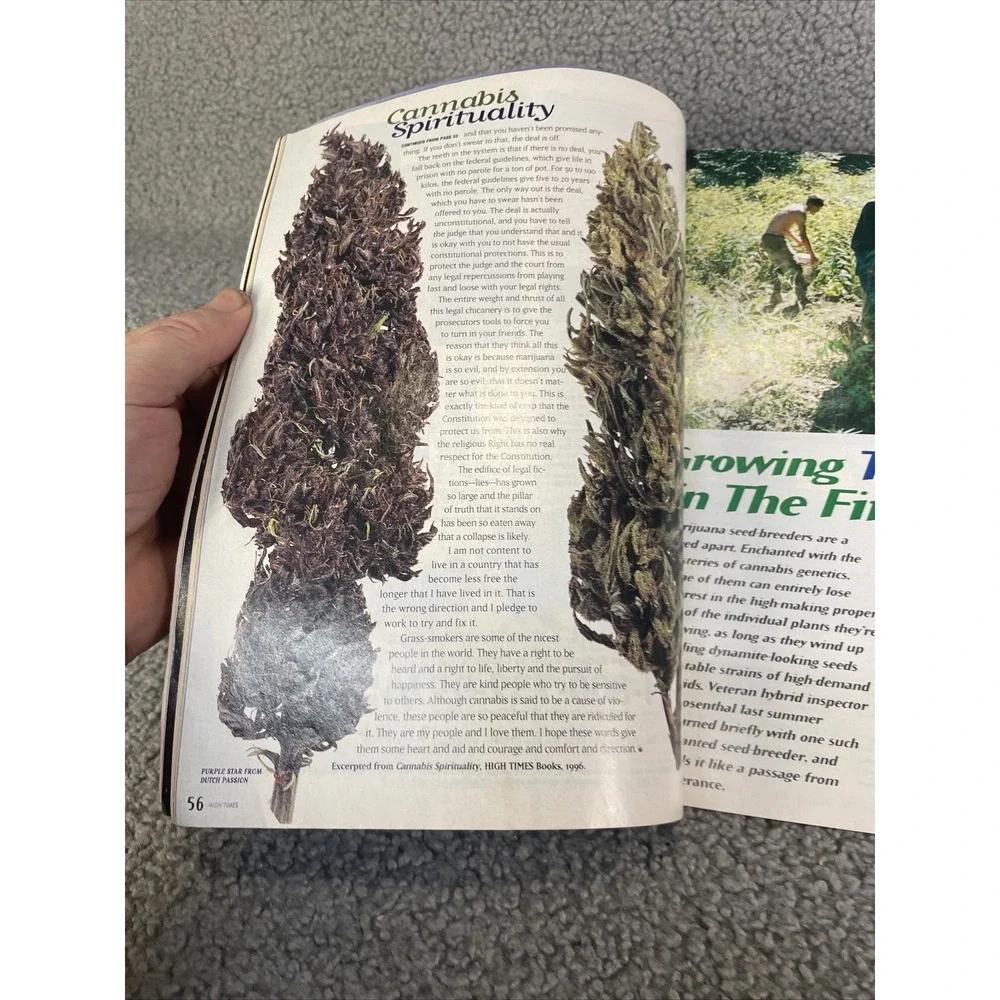 High Times Magazine * December 1996 * Canada Seed Company - Mexican Drug War‎
